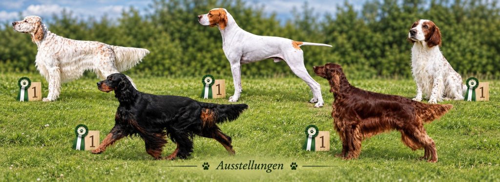intro ausstellungen