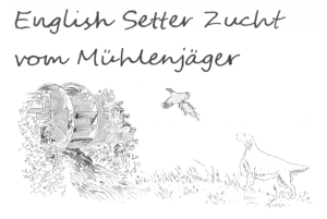 muehlenjaeger 01