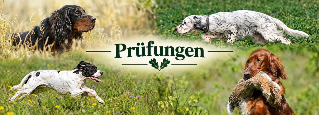 start prüfungen