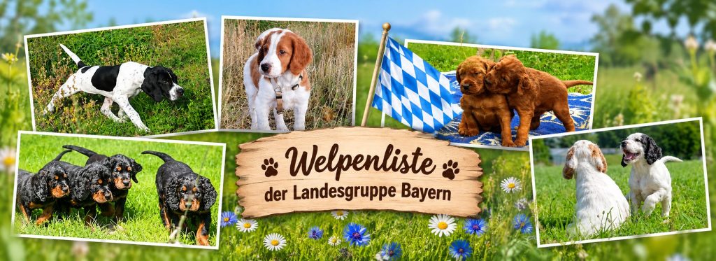 start welpenseite